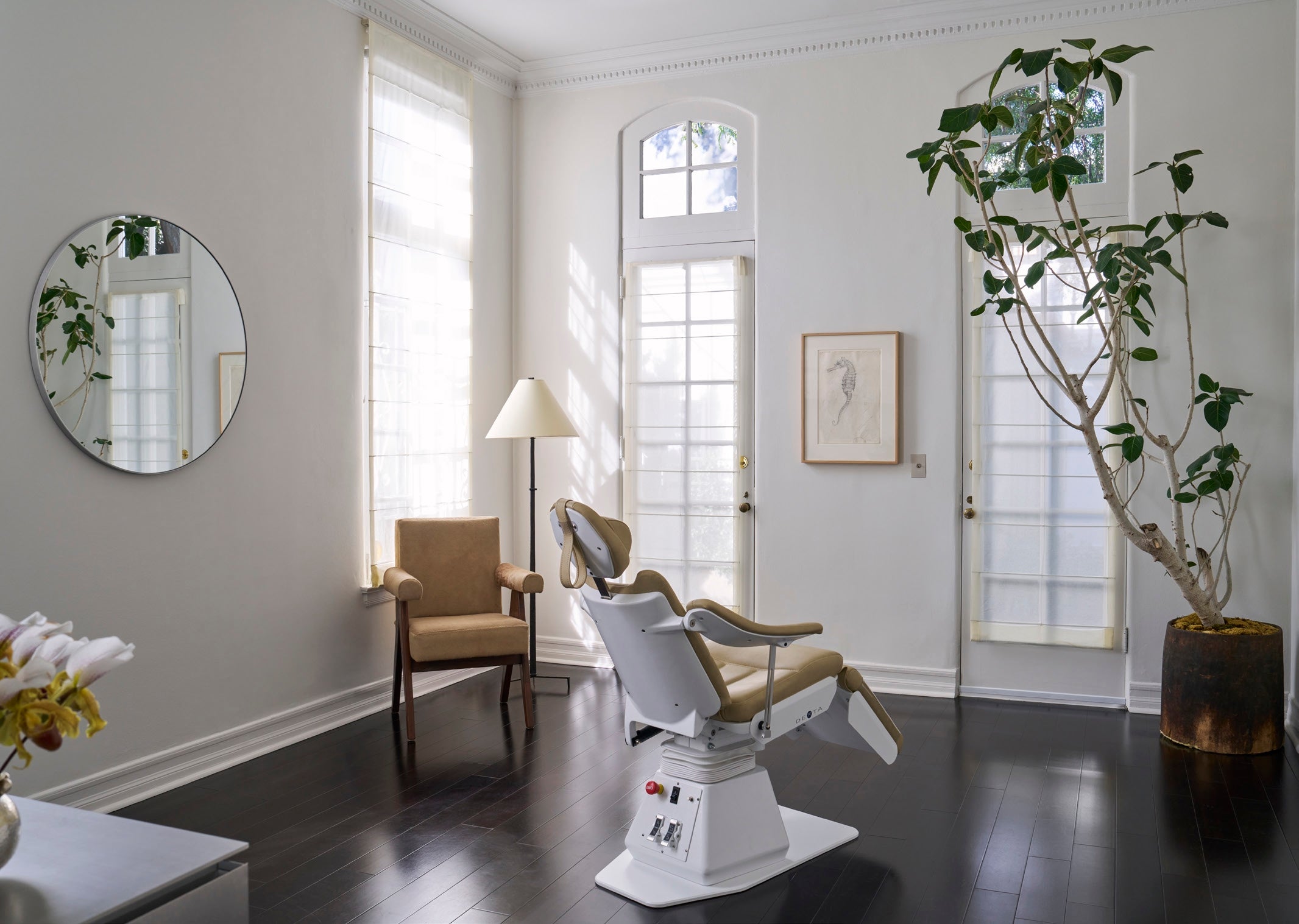 Sunlit treatment room at the Contrapposto clinic with a reclining chair, tall windows and a potted tree