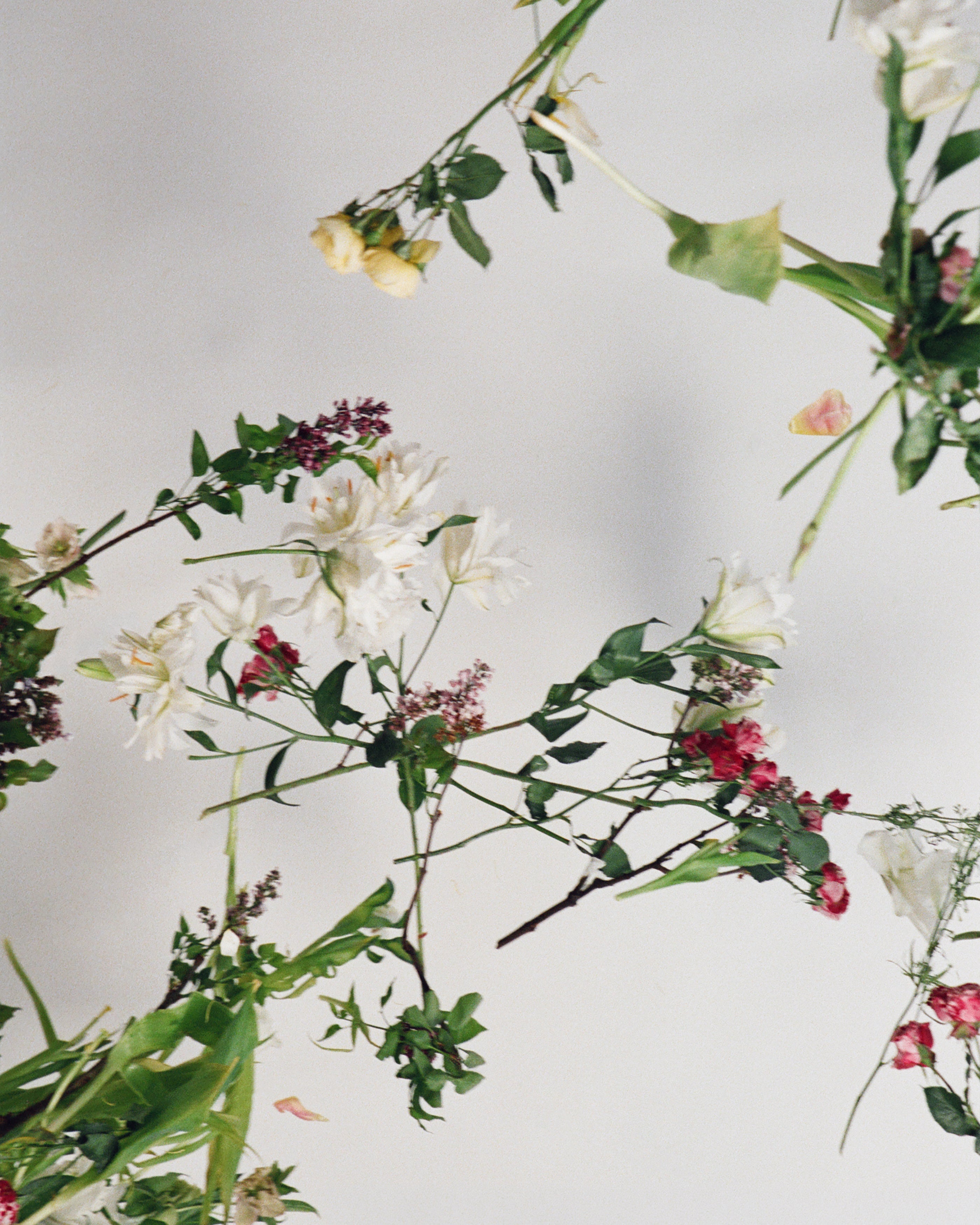 COLLECTION I