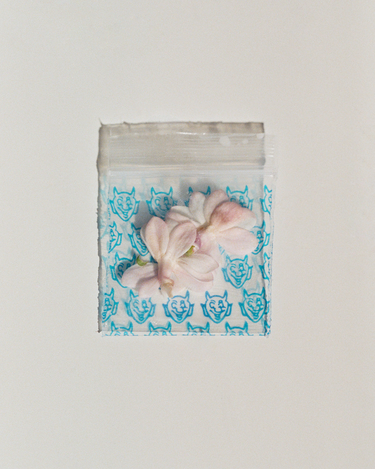 Pink flower sealed in a small printed plastic bag on a white surface