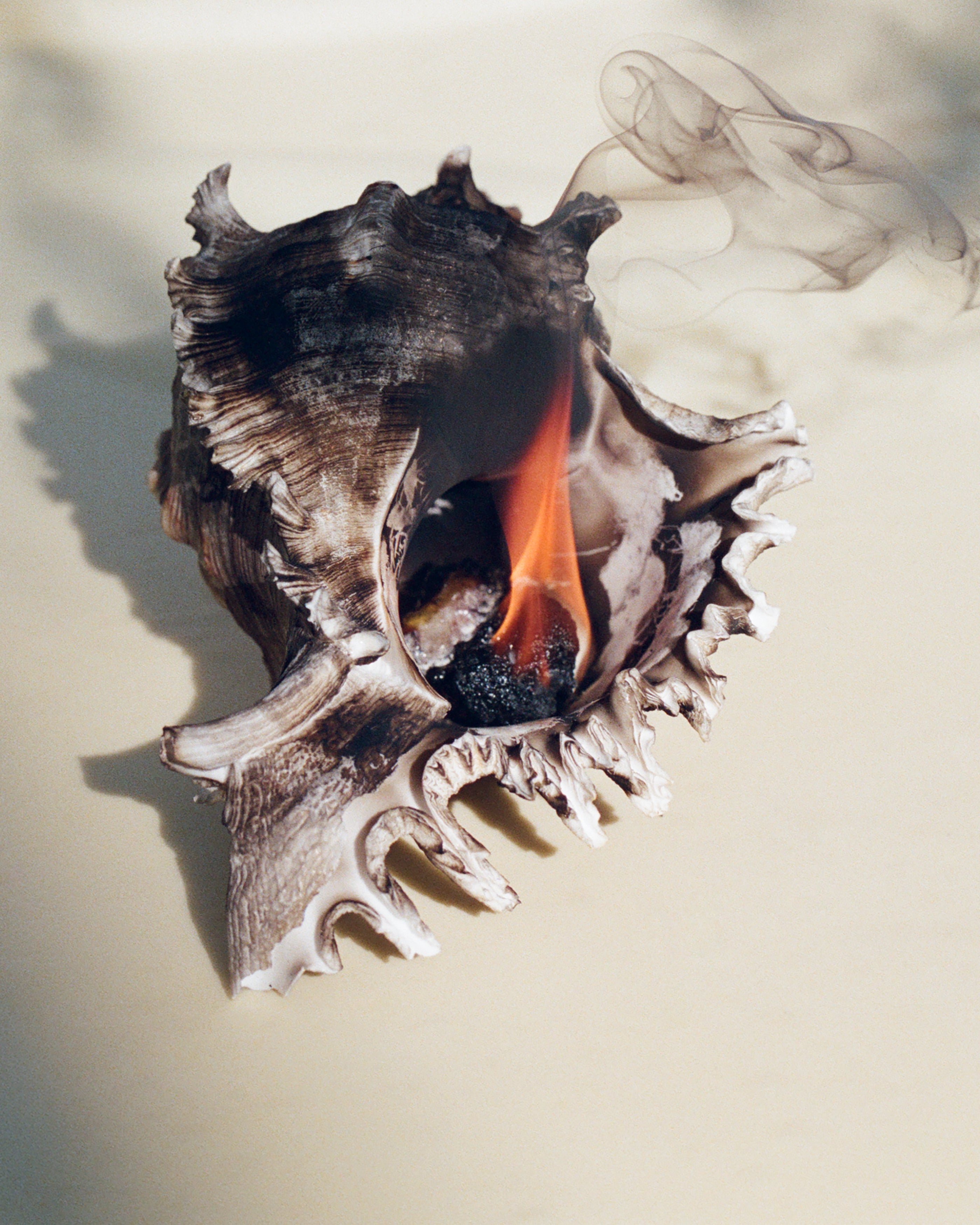 Murex shell with a small flame and thread of smoke rising from inside it