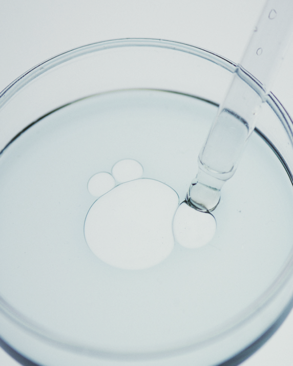 Glass dish of clear liquid with a pipette and floating droplets